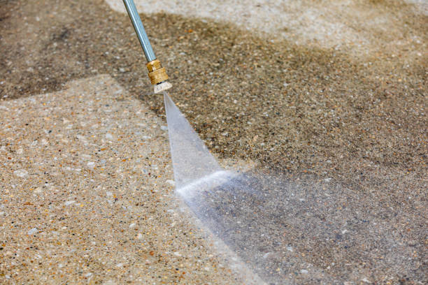 Best Animal Enclosure Cleaning  in Belpre, OH