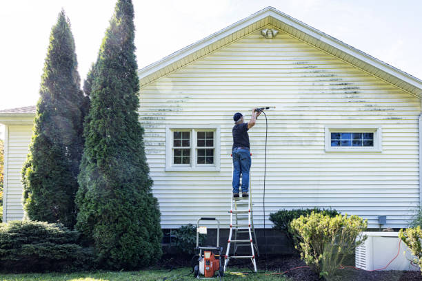Best Driveway Pressure Washing  in Belpre, OH